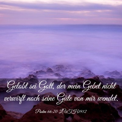 Picture 03 - Psalm 66:20 LUTH1912 - Gelobt sei Gott, der mein Gebet nicht verwirft - Bible Verse Picture