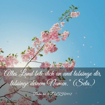 Picture 03 - Psalm 66:4 LUTH1912 - Alles Land bete dich an und lobsinge dir, - Bible Verse Picture