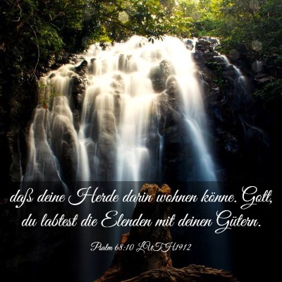 Picture 03 - Psalm 68:10 LUTH1912 - daß deine Herde darin wohnen könne. Gott, du - Bible Verse Picture