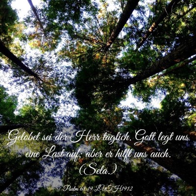 Picture 03 - Psalm 68:19 LUTH1912 - Gelobet sei der Herr täglich. Gott legt uns eine - Bible Verse Picture