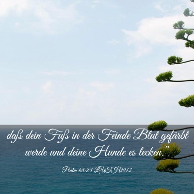 Picture 03 - Psalm 68:23 LUTH1912 - daß dein Fuß in der Feinde Blut gefärbt werde - Bible Verse Picture