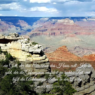 Picture 03 - Psalm 68:6 LUTH1912 - ein Gott, der den Einsamen das Haus voll Kinder - Bible Verse Picture