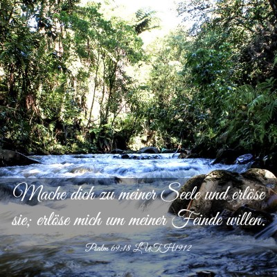 Picture 03 - Psalm 69:18 LUTH1912 - Mache dich zu meiner Seele und erlöse sie; - Bible Verse Picture