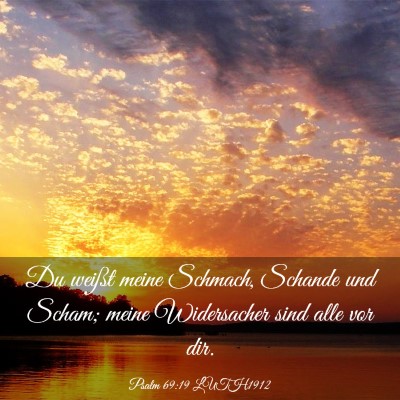 Picture 03 - Psalm 69:19 LUTH1912 - Du weißt meine Schmach, Schande und Scham; meine - Bible Verse Picture
