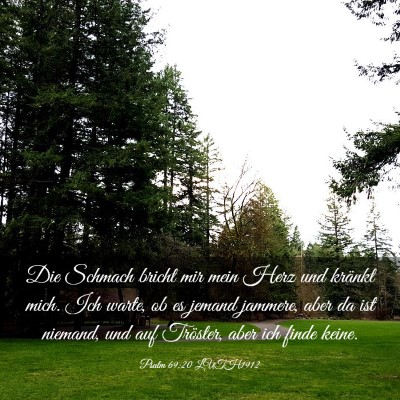 Picture 03 - Psalm 69:20 LUTH1912 - Die Schmach bricht mir mein Herz und kränkt - Bible Verse Picture