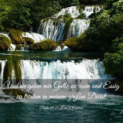 Picture 03 - Psalm 69:21 LUTH1912 - Und sie geben mir Galle zu essen und Essig zu - Bible Verse Picture