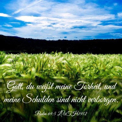 Picture 03 - Psalm 69:5 LUTH1912 - Gott, du weißt meine Torheit, und meine Schulden - Bible Verse Picture
