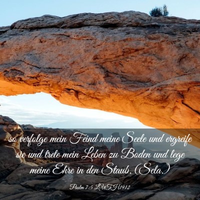 Picture 03 - Psalm 7:5 LUTH1912 - so verfolge mein Feind meine Seele und ergreife - Bible Verse Picture