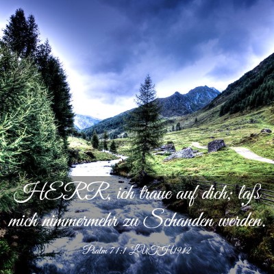 Picture 03 - Psalm 71:1 LUTH1912 - HERR, ich traue auf dich; laß mich nimmermehr zu - Bible Verse Picture