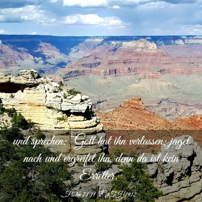 Picture 03 - Psalm 71:11 LUTH1912 - und sprechen: “Gott hat ihn verlassen; jaget - Bible Verse Picture