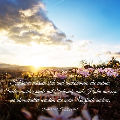 Picture 03 - Psalm 71:13 LUTH1912 - Schämen müssen sich und umkommen, die meiner - Bible Verse Picture