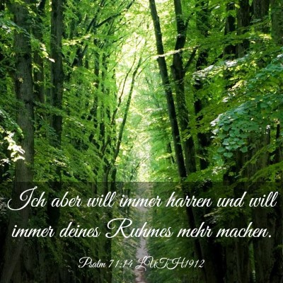 Picture 03 - Psalm 71:14 LUTH1912 - Ich aber will immer harren und will immer deines - Bible Verse Picture