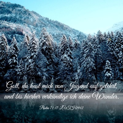Picture 03 - Psalm 71:17 LUTH1912 - Gott, du hast mich von Jugend auf gelehrt, und - Bible Verse Picture