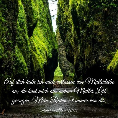 Picture 03 - Psalm 71:6 LUTH1912 - Auf dich habe ich mich verlassen von Mutterleibe - Bible Verse Picture