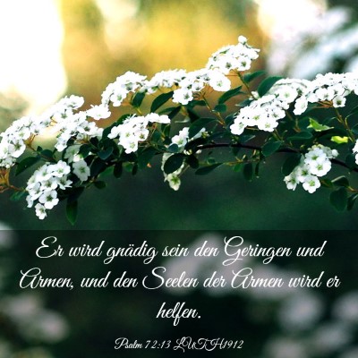 Picture 03 - Psalm 72:13 LUTH1912 - Er wird gnädig sein den Geringen und Armen, und - Bible Verse Picture