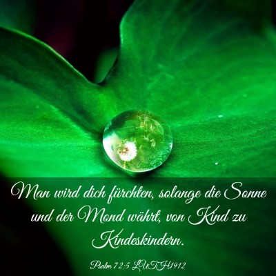 Picture 03 - Psalm 72:5 LUTH1912 - Man wird dich fürchten, solange die Sonne und - Bible Verse Picture