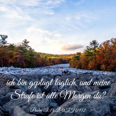 Picture 03 - Psalm 73:14 LUTH1912 - ich bin geplagt täglich, und meine Strafe ist - Bible Verse Picture