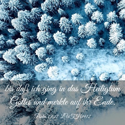 Picture 03 - Psalm 73:17 LUTH1912 - bis daß ich ging in das Heiligtum Gottes und - Bible Verse Picture