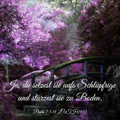 Picture 03 - Psalm 73:18 LUTH1912 - Ja, du setzest sie aufs Schlüpfrige und - Bible Verse Picture