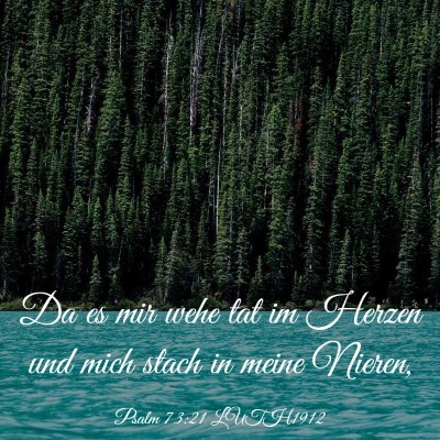 Picture 03 - Psalm 73:21 LUTH1912 - Da es mir wehe tat im Herzen und mich stach in - Bible Verse Picture