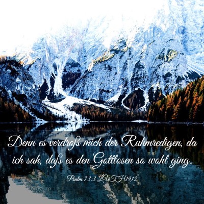 Picture 03 - Psalm 73:3 LUTH1912 - Denn es verdroß mich der Ruhmredigen, da ich - Bible Verse Picture
