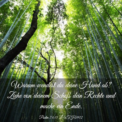 Picture 03 - Psalm 74:11 LUTH1912 - Warum wendest du deine Hand ab? Ziehe von deinem - Bible Verse Picture