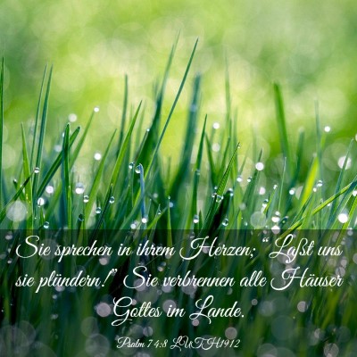 Picture 03 - Psalm 74:8 LUTH1912 - Sie sprechen in ihrem Herzen; “Laßt uns sie - Bible Verse Picture