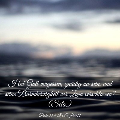 Picture 03 - Psalm 77:9 LUTH1912 - Hat Gott vergessen, gnädig zu sein, und seine - Bible Verse Picture