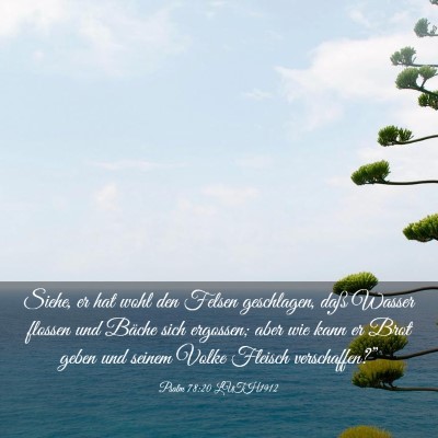 Picture 03 - Psalm 78:20 LUTH1912 - Siehe, er hat wohl den Felsen geschlagen, daß - Bible Verse Picture
