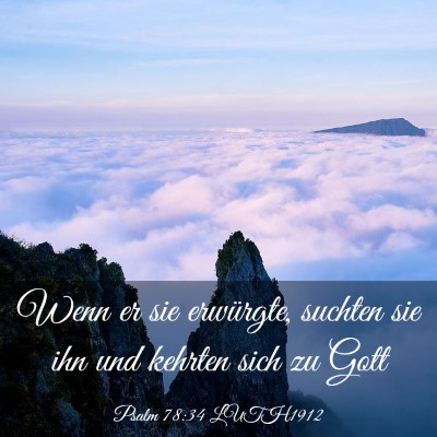 Picture 03 - Psalm 78:34 LUTH1912 - Wenn er sie erwürgte, suchten sie ihn und - Bible Verse Picture