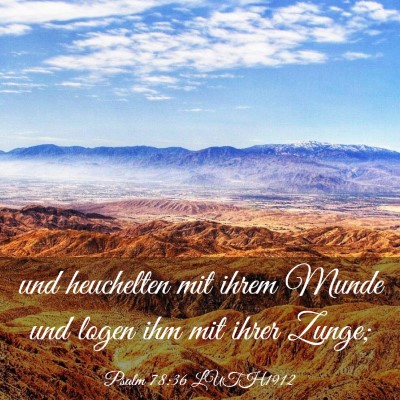Picture 03 - Psalm 78:36 LUTH1912 - und heuchelten mit ihrem Munde und logen ihm mit - Bible Verse Picture