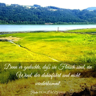 Picture 03 - Psalm 78:39 LUTH1912 - Denn er gedachte, daß sie Fleisch sind, ein - Bible Verse Picture