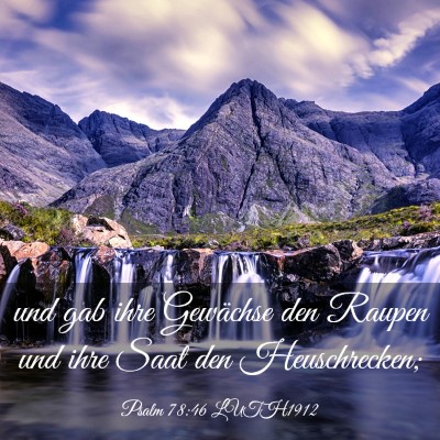 Picture 03 - Psalm 78:46 LUTH1912 - und gab ihre Gewächse den Raupen und ihre Saat - Bible Verse Picture