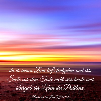 Picture 03 - Psalm 78:50 LUTH1912 - da er seinen Zorn ließ fortgehen und ihre Seele - Bible Verse Picture