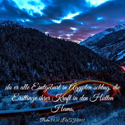 Picture 03 - Psalm 78:51 LUTH1912 - da er alle Erstgeburt in Ägypten schlug, die - Bible Verse Picture