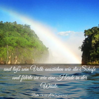 Picture 03 - Psalm 78:52 LUTH1912 - und ließ sein Volk ausziehen wie die Schafe und - Bible Verse Picture