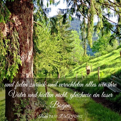 Picture 03 - Psalm 78:57 LUTH1912 - und fielen zurück und verachteten alles wie ihre - Bible Verse Picture