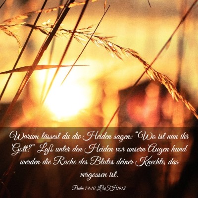 Picture 03 - Psalm 79:10 LUTH1912 - Warum lässest du die Heiden sagen: “Wo ist nun - Bible Verse Picture