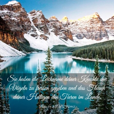 Picture 03 - Psalm 79:2 LUTH1912 - Sie haben die Leichname deiner Knechte den - Bible Verse Picture
