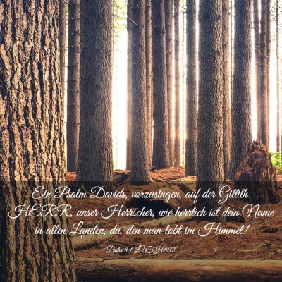 Picture 03 - Psalm 8:1 LUTH1912 - Ein Psalm Davids, vorzusingen, auf der Gittith. - Bible Verse Picture