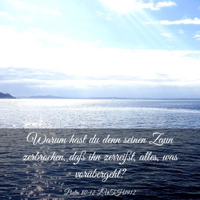Picture 03 - Psalm 80:12 LUTH1912 - Warum hast du denn seinen Zaun zerbrochen, daß - Bible Verse Picture