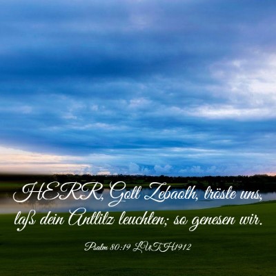 Picture 03 - Psalm 80:19 LUTH1912 - HERR, Gott Zebaoth, tröste uns, laß dein - Bible Verse Picture