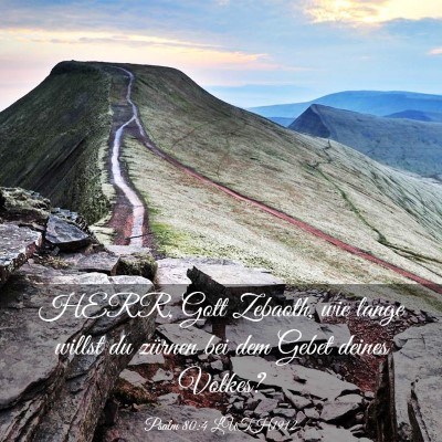 Picture 03 - Psalm 80:4 LUTH1912 - HERR, Gott Zebaoth, wie lange willst du zürnen - Bible Verse Picture