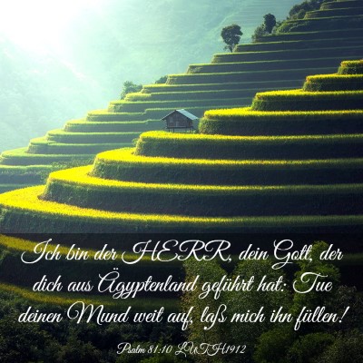 Picture 03 - Psalm 81:10 LUTH1912 - Ich bin der HERR, dein Gott, der dich aus - Bible Verse Picture