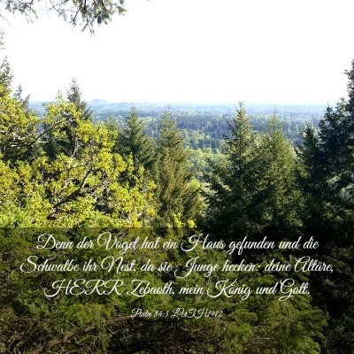 Picture 03 - Psalm 84:3 LUTH1912 - Denn der Vogel hat ein Haus gefunden und die - Bible Verse Picture