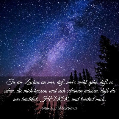 Picture 03 - Psalm 86:17 LUTH1912 - Tu ein Zeichen an mir, daß mir's wohl gehe, daß - Bible Verse Picture