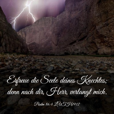 Picture 03 - Psalm 86:4 LUTH1912 - Erfreue die Seele deines Knechtes; denn nach dir, - Bible Verse Picture