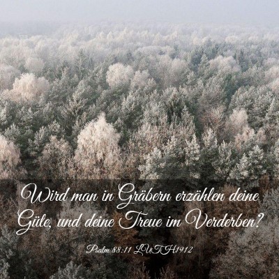 Picture 03 - Psalm 88:11 LUTH1912 - Wird man in Gräbern erzählen deine Güte, und - Bible Verse Picture