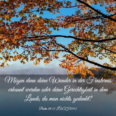 Picture 03 - Psalm 88:12 LUTH1912 - Mögen denn deine Wunder in der Finsternis - Bible Verse Picture