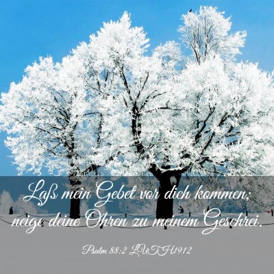 Picture 03 - Psalm 88:2 LUTH1912 - Laß mein Gebet vor dich kommen; neige deine - Bible Verse Picture